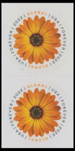 US 5680 African Daisy global forever vert pair (2 stamps) MNH 2022 