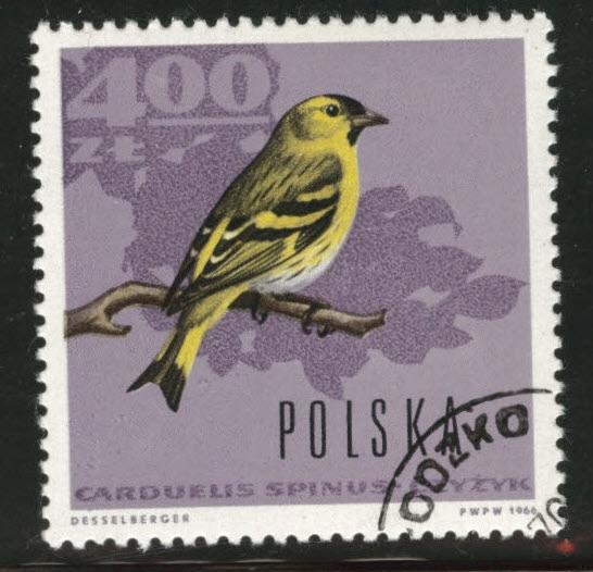 Poland Scott 1458 used 1966 bird stamp