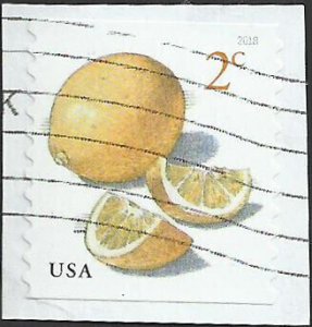 # 5256 Used Meyer Lemons