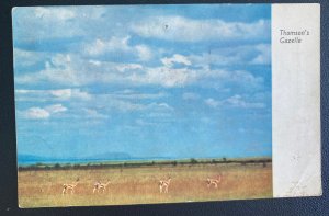 1954 Nairobi Kenya British KUT Airmail Picture Postcard Cover To Vienna Austria