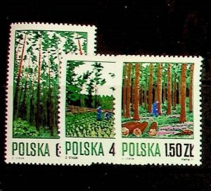 POLAND Sc 1797-99 NH ISSUE OF 1971 - FOREST