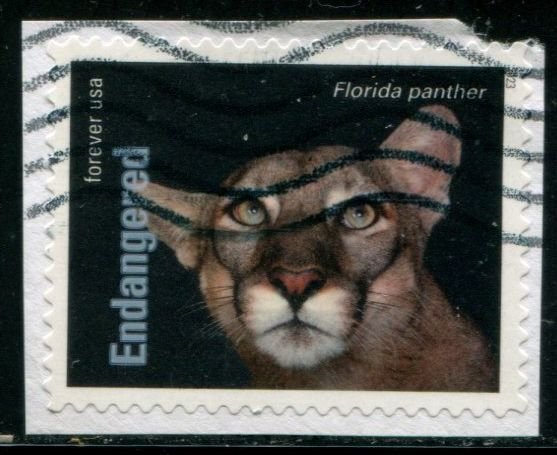 5799f US (63c) Endangered Species - Florida Panther SA, used on paper