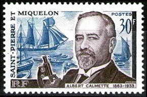 Scott #366 Albert Calmette MNH