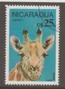 C1140 Giraffe - Nicaragua