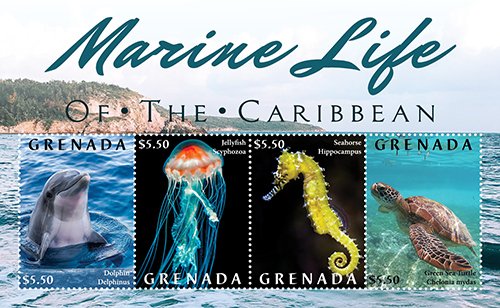 YEAR 2021/06- GRENADA - MARINE LIFE                4V complet set    MNH ** T