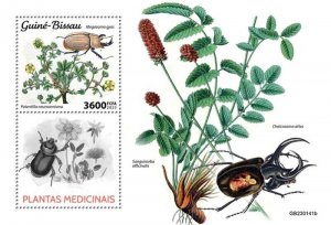 Guinea-Bissau - 2023 Medicinal Plants & Beetles - Stamp Souvenir Sheet GB230141b
