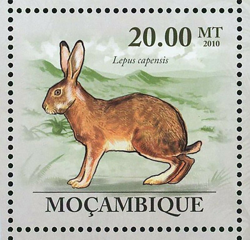 Rabbits Stamp Oryctolagus Cuniculus Lepus Capensis S/S MNH #3548-3553