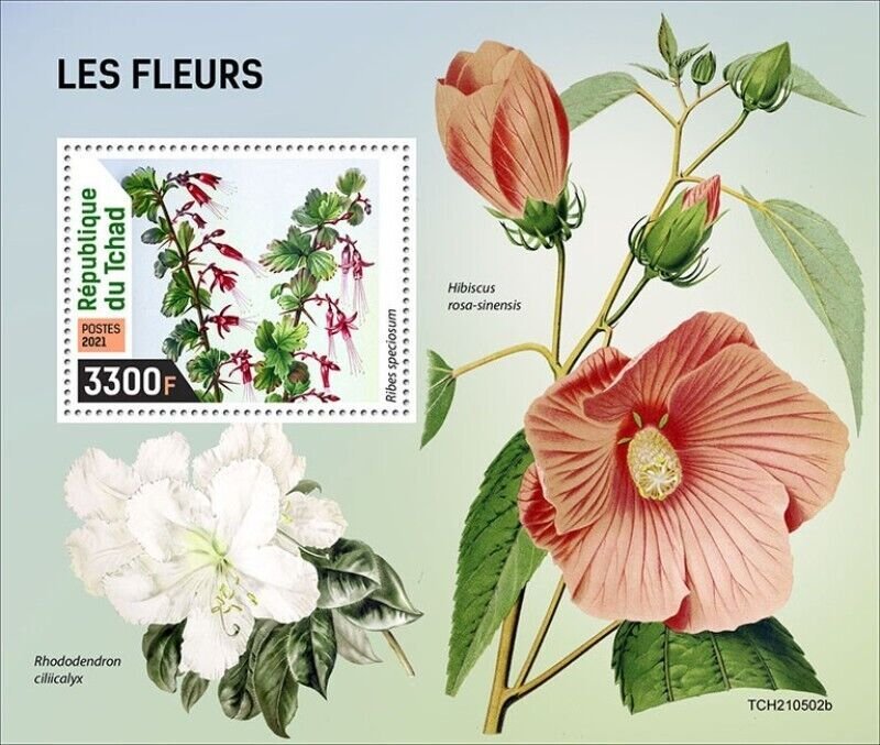 Chad - 2021 Fuchsiaflower Gooseberry Flowers - Stamp Souvenir Sheet - TCH210502b 