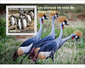 C A R - 2023 - Endangered Birds - Perf Souv Sheet - Mint Never Hinged