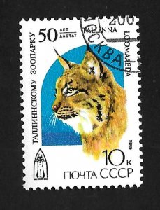 Russia - Soviet Union 1990 - CTO - Scott #5794