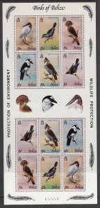 Belize 500g Birds Pane MNH VF