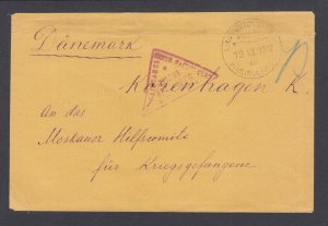 Austria, 1917 FUHLING POW Camp, Censored cover to Red Cross, Copenhagen,