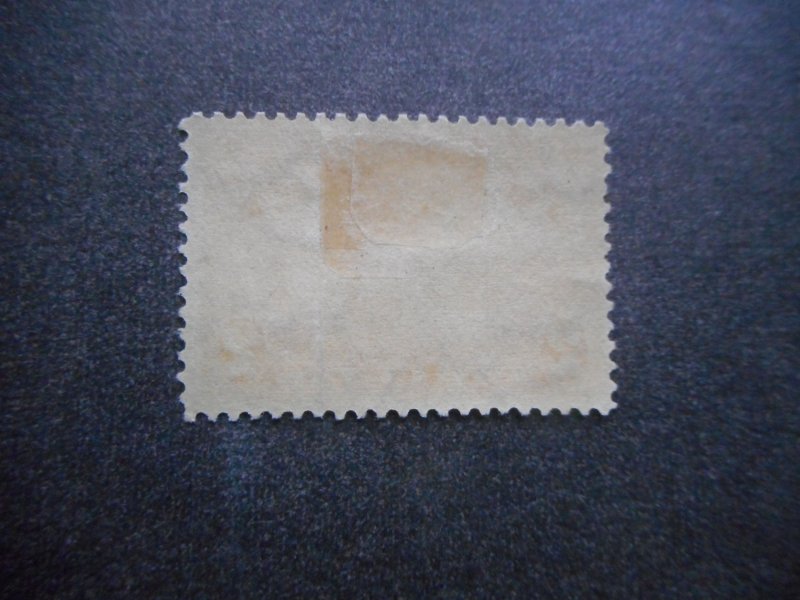 # 372 VFOG (HR)...Store Bargain