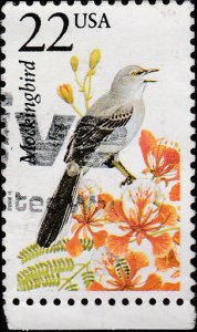 # 2330 USED MOCKING BIRD