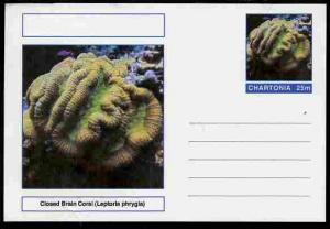 Chartonia (Fantasy) Coral - Closed Brain Coral (Leptoria ...