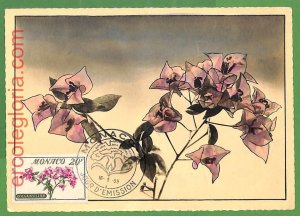 32435 - Monaco - MAXIMUM CARD - 1959 - Flowers-