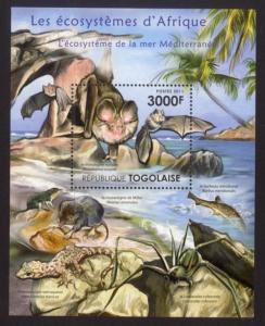 Togo - New Issue - MNH Mediterranean Sea Animals (S/S)