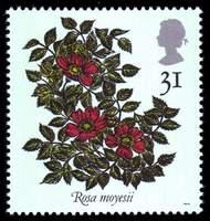 Great Britain #1384 Mint - 1991 31p.  - Flowers, Events