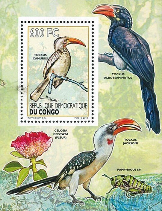 Democratic Republic of the Congo 2012 Imperf. Birds / Calaos - Fauna & Flora (2-