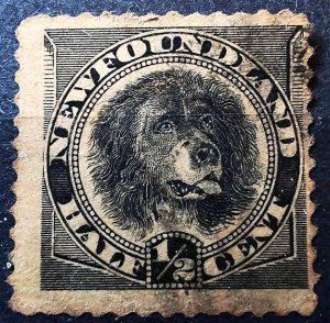 Canada. (1894) ½¢. A used postage stamp depicting a Newfoundland dog. This st...