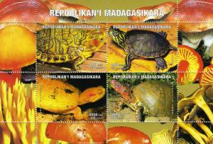 Malagasy 1999 TURTLES and MUSHROOMS Sheetlet (4) Perforated MNH