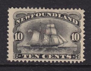 Newfoundland Scott # 59 VF-OG previously hinged scv $ 150 ! see pic !