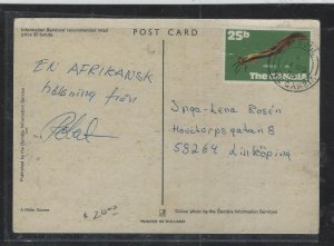 GAMBIA COVER  (P1501B) 1975 25B EEL ON PPC TO SWEDEN 