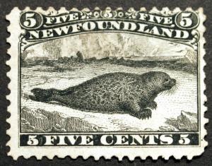 Newfoundland #26 5c Black 1868 perf 12 Unused without Gum Lightly Hinged Rich