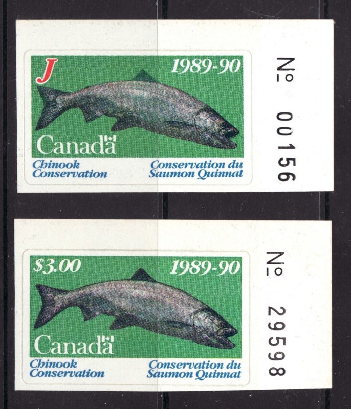 1989-90 British Columbia Chinook Conservation Stamps - Junior & Adult decals