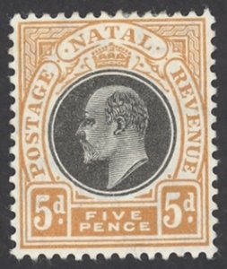 Natal Sc# 105 MH 1908 5p King Edward VII