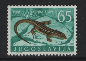 Yugoslavia   #668  MNH   1962  animals 65d lizard