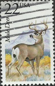 # 2294 USED MULE DEER
