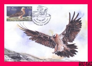 KYRGYZSTAN 2021 Nature Fauna Predatory Bird Raptor Vulture Hawk Maxicard Card