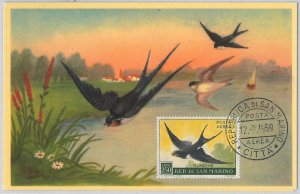 52672 - SAN MARINO - MAXIMUM CARD - ANIMALS BIRDS SWALLOW 1959-