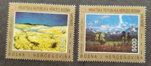 *FREE SHIP Bosnia Modern Art Painting 1993 Flower Mountain (stamp) MNH