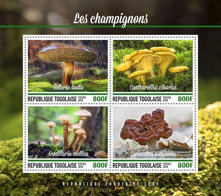 TOGO - 2020 - Mushrooms - Perf 4v Sheet  - Mint Never Hinged