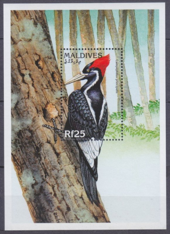 1997 Maldive Islands 2788/B377 Birds 7,50 €