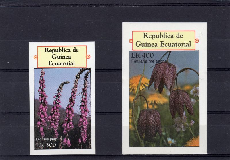 Equatorial Guinea 1977 Mountain Flowers 2 S/S Imperforated MNH Mi.#Bl.E266/F266