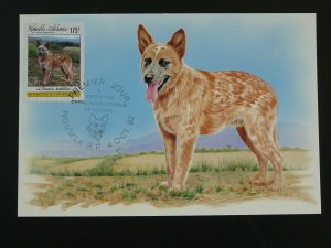 dog australian cattle maximum card New Caledonia 94600