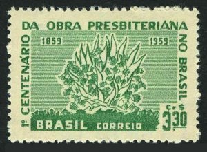 Brazil 902 two stamps,MNH.Michel 970. Presbyterian work in Brazil,100,1959.Bush.