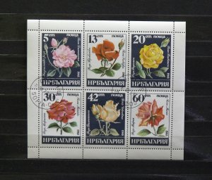 4289   Bulgaria   Used  # 3080a   Mini Sheet - Roses      CV$ 2.25