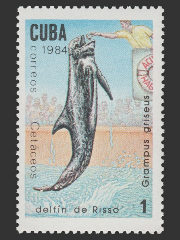 LATIN AMERICA 1984. SCOTT # 2677. UNUSED TOPIC: SEA LIFE