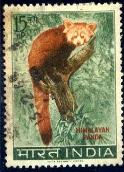 Himalayan Panda, India stamp SC#363 used
