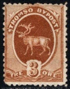 1882 Norway Local Post 3 Ore Tromsø Bypost Unused