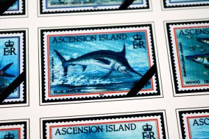 COLOR PRINTED ASCENSION ISLAND 1922-1999 STAMP ALBUM PAGES (104 illustr. pages)