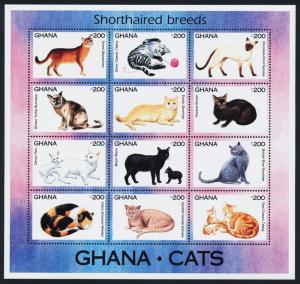 Ghana 1683 MNH Cats