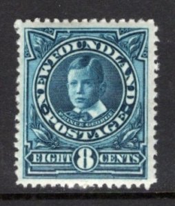 Newfoundland 110 VF MNH