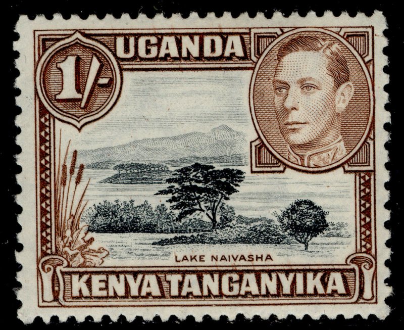 KENYA UGANDA TANGANYIKA GVI SG145, 1s black & brown, VLH MINT. Cat £23.