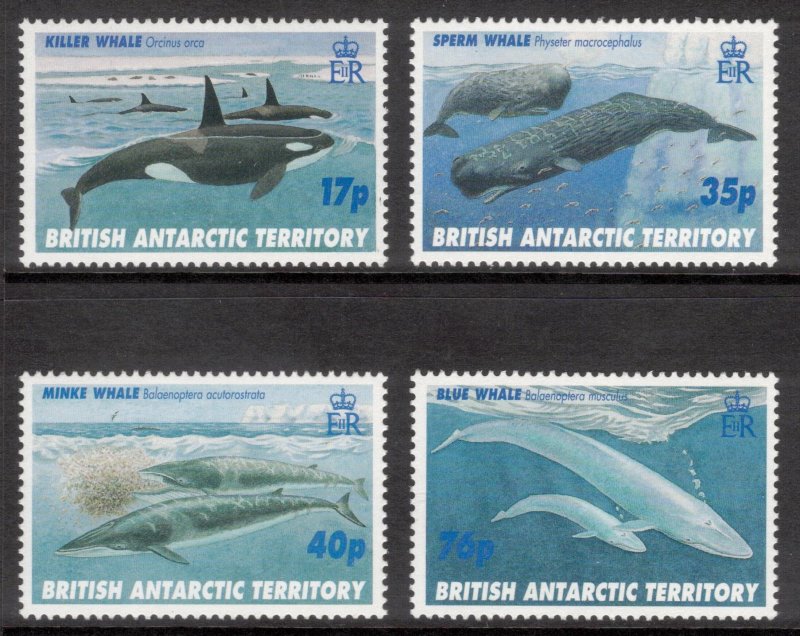 BRITISH ANTARCTIC 1996 Whales; Scott 244-48, SG 265-69; MNH