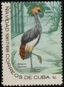 Cuba 1306 - Used - 1c Crowned Crane / Christmas (1967) (cv $0.95)